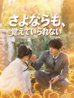 さよならも、覚えていられない