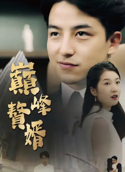 巔峰贅婿