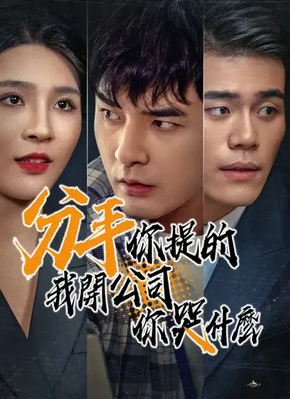 分手你提的，我開公司你哭什麽