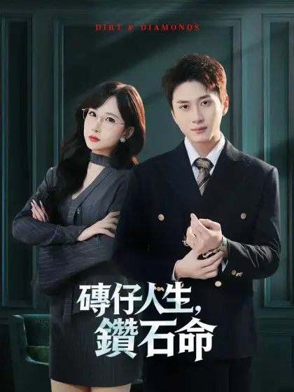 磚仔人生，鑽石命