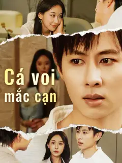 Cá voi mắc cạn