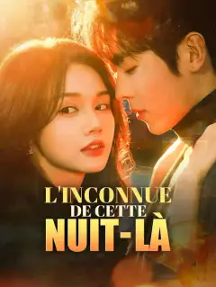 L'Inconnue de cette Nuit-là