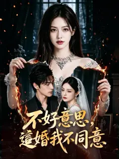 不好意思,這婚我不同意