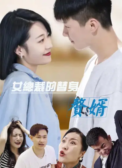 女總裁的替身贅婿