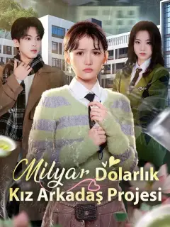 Milyar Dolarlık Kız Arkadaş Projesi