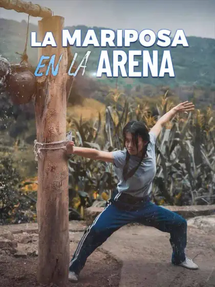 La mariposa en la arena