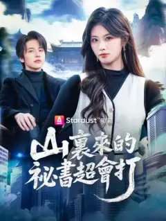 山裏來的祕書超會打