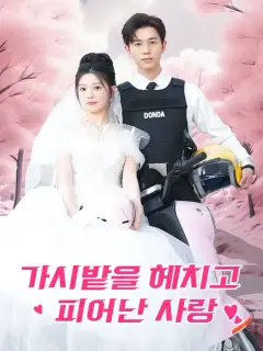 가시밭을 헤치고 피어난 사랑