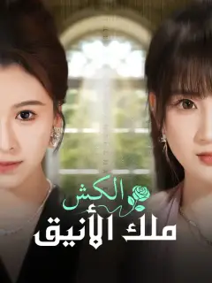 الكش ملك الأنيق