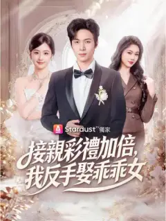 接親彩禮加倍,我反手娶乖乖女