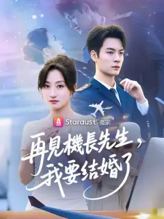 再見機長先生,我要結婚了
