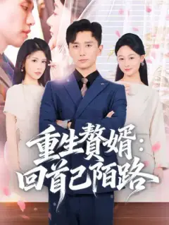 重生贅婿：回首已陌路